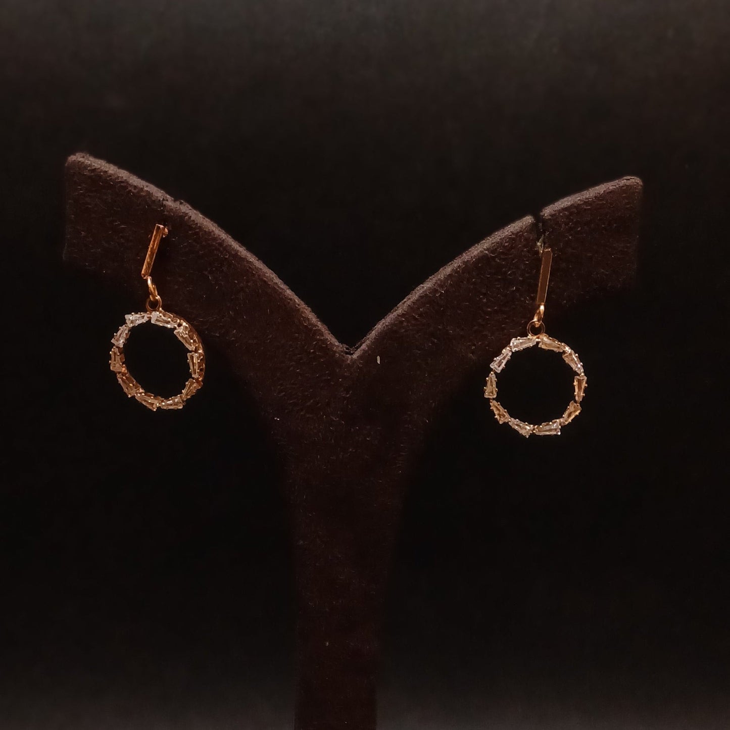 Sparkling Diamond Circle Earrings