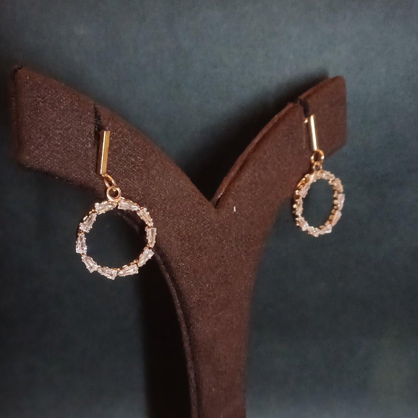 Sparkling Diamond Circle Earrings