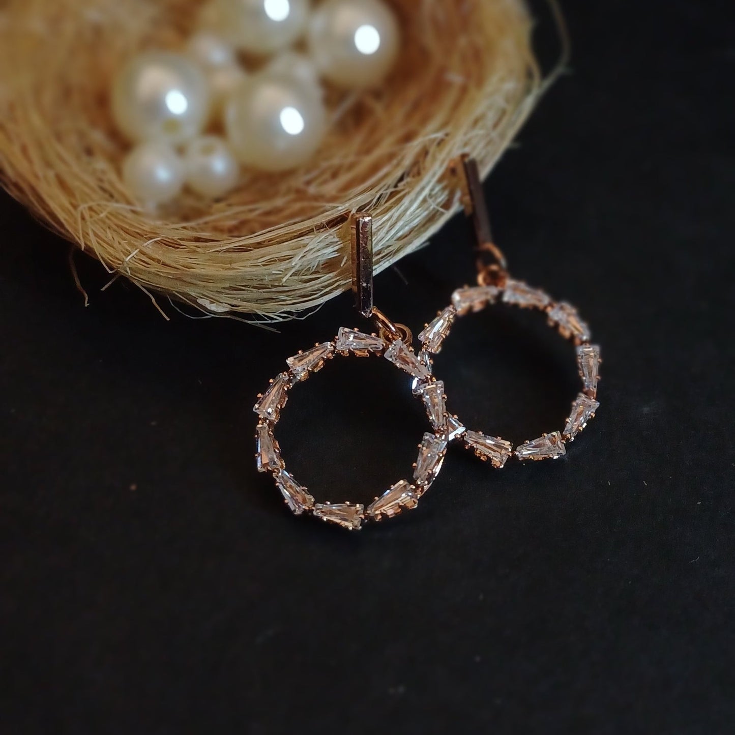 Sparkling Diamond Circle Earrings