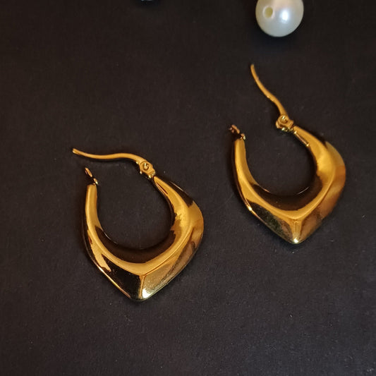 Golden beauty Earring - All occasion